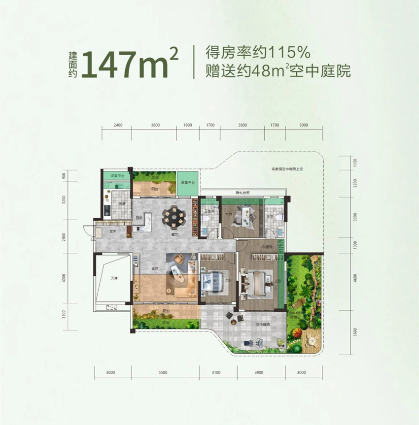 A户型